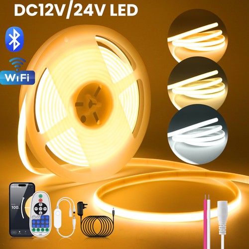12v 24v cob - 24v,